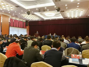 青岛市召开小微企业金融服务电视会议 聚焦优化融资服务新路径